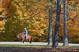 Equestrian Passerby_24649